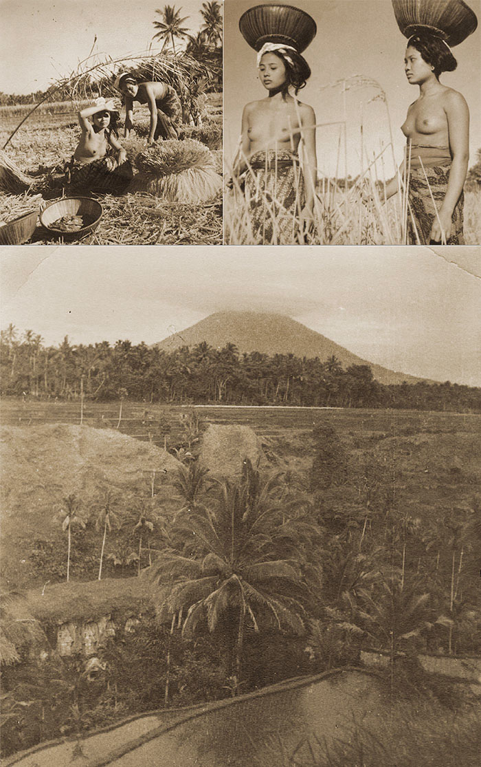 The work of Arthur Fleischmann in Bali 1930's - compilation by Brian Cassey